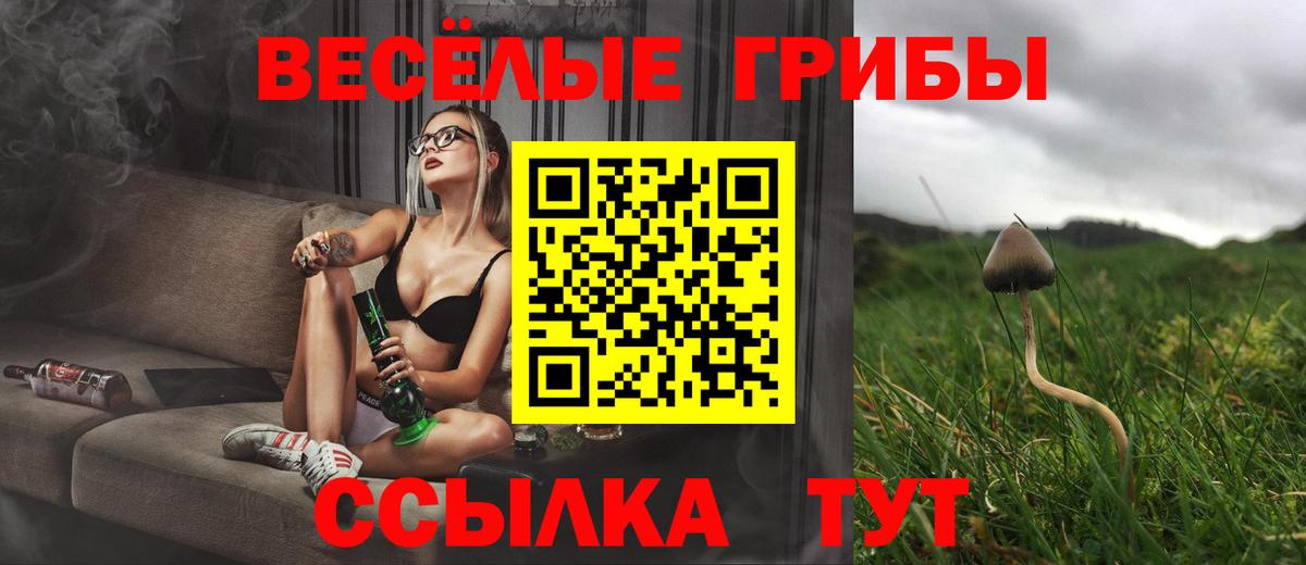 Псилоцибиновые грибы MAGIC MUSHROOMS  Вход с VPN  купить  сайты  Ялуторовск  Псилоцибиновые грибы GOLDEN TEACHER 